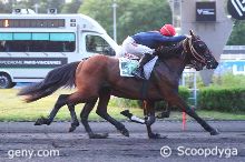 03/06/2025 - Vincennes - Prix Cygnus: Arrivée