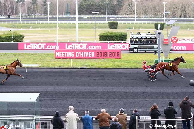 28/02/2019 - Vincennes - Prix de Luneville : Arrivée