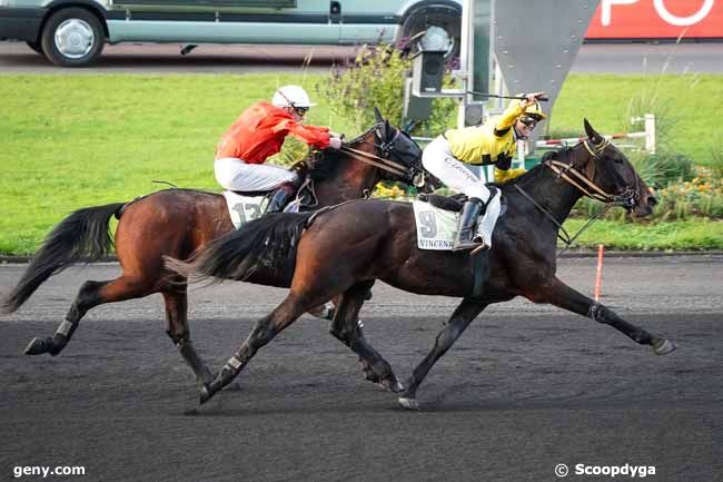 07/11/2019 - Vincennes - Prix Olry-Roederer : Arrivée