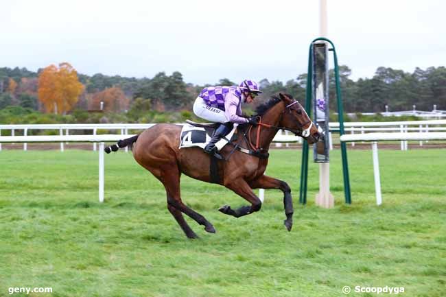 26/11/2019 - Fontainebleau - Prix de la Fontaine aux Biches : Arrivée