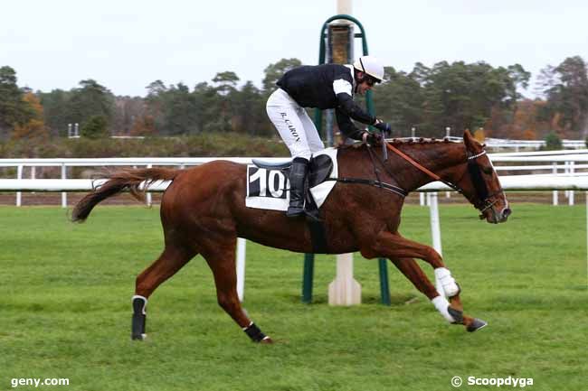 16/11/2020 - Fontainebleau - Prix Colonel Beaujean : Result