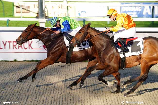 15/12/2020 - Pau - Prix de Limendous : Result