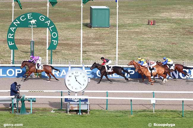 16/02/2021 - Chantilly - Prix de Lassy : Arrivée