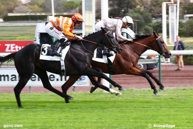 23/10/2023 - Marseille-Borély - Prix Gyptis et Protis : Arrivée