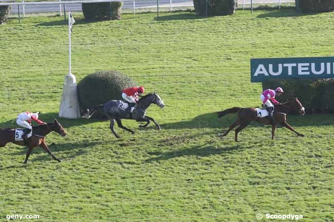 02/12/2023 - Auteuil - Prix Nupsala : Ankunft