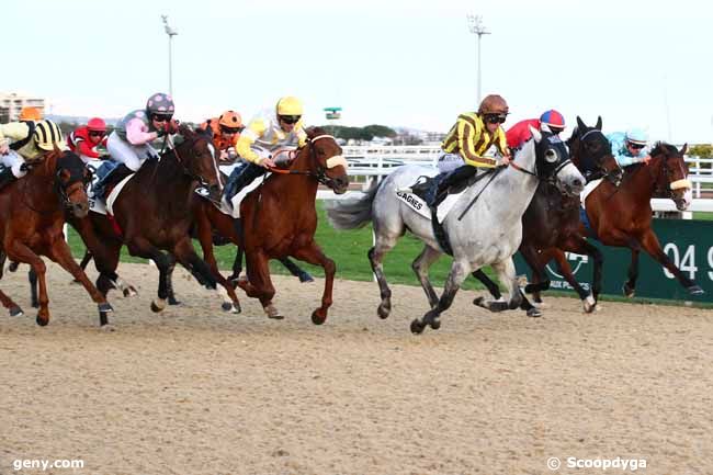 12/02/2024 - Cagnes-sur-Mer - Prix de la Napoule : Arrivée