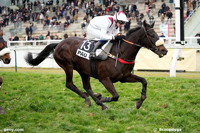 02/01/2025 - Pau - Prix Equidia (Prix Pierre Estrem Rey) : Arrivée