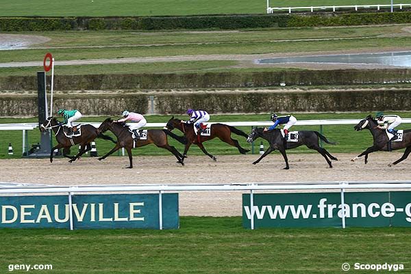 12/01/2008 - Deauville - Prix d'Herbourgere : Arrivée
