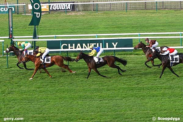 16/10/2008 - Chantilly - Prix du Champ d'Alouettes : Result