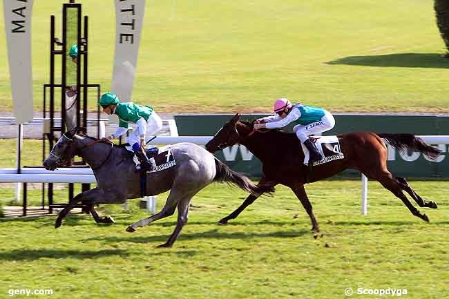 13/10/2010 - Maisons-Laffitte - Prix Armistice : Arrivée