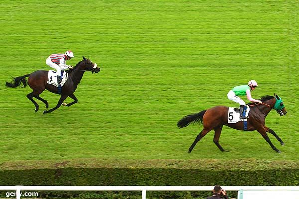 15/10/2014 - Saint-Cloud - Prix Cardmania : Arrivée
