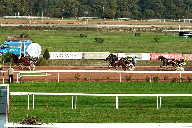 10/11/2015 - Bordeaux-Le Bouscat - Prix Château Chantegrive : Arrivée