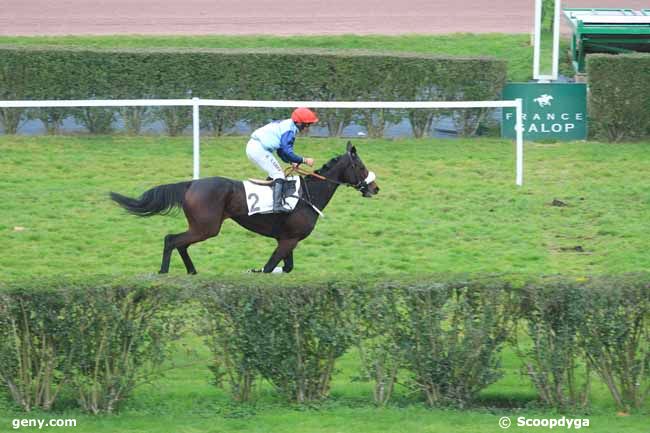 14/11/2016 - Enghien - Prix le Pontet : Arrivée