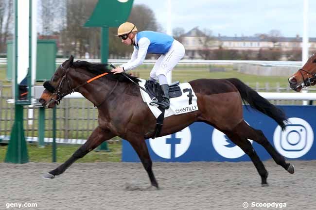 17/02/2023 - Chantilly - Prix du Menhir des Indrolles : Arrivée