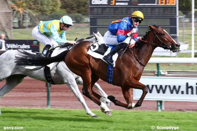 23/10/2023 - Marseille-Borély - Prix Delahante : Arrivée