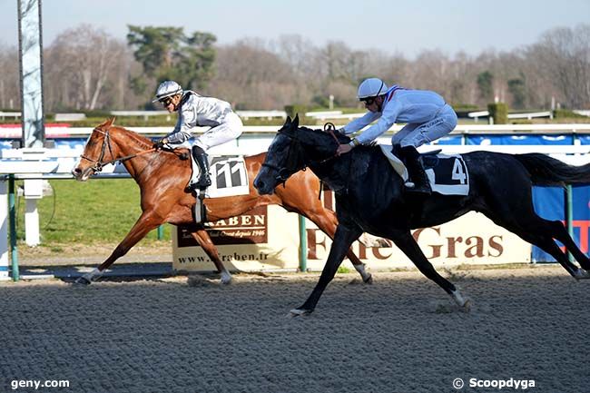 31/01/2024 - Pau - Prix Magicienne : Arrivée