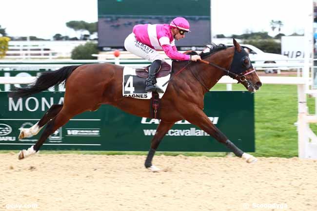 12/02/2024 - Cagnes-sur-Mer - Prix de la Menthe Poivrée : Arrivée