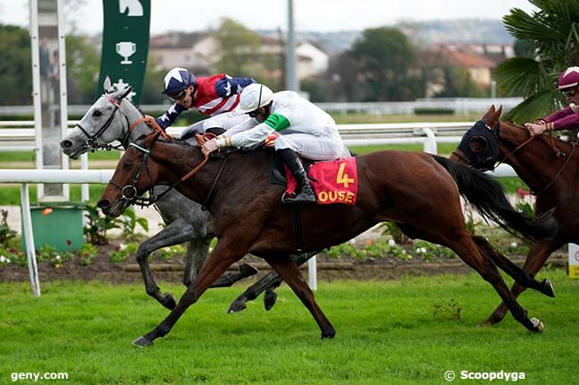 11/11/2024 - Toulouse - Grand National des Anglo-Arabes à 12.5 % : Arrivée