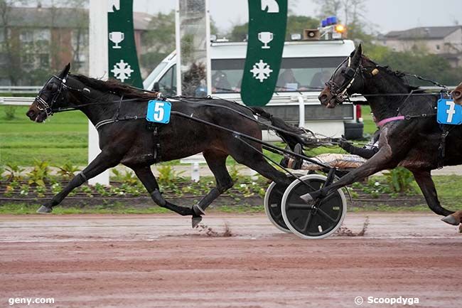 20/11/2024 - Toulouse - Prix Zénitude : Arrivée