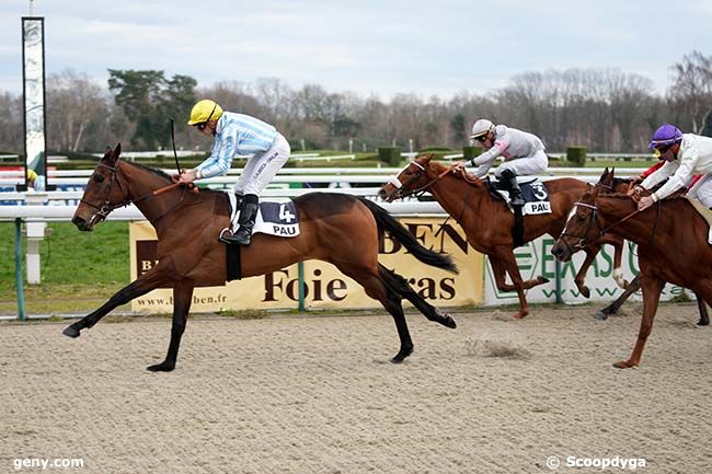 02/01/2025 - Pau - Prix de Montaut : Arrivée