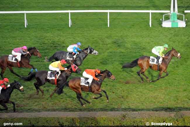 25/11/2008 - Saint-Cloud - Prix Miss Annette : Ankunft