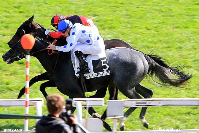 13/10/2010 - Maisons-Laffitte - Prix Silver Shark : Ankunft