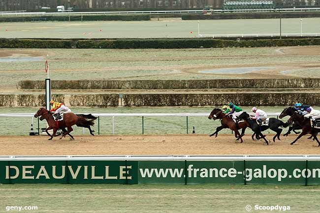 03/01/2011 - Deauville - Prix du Merlerault : Arrivée