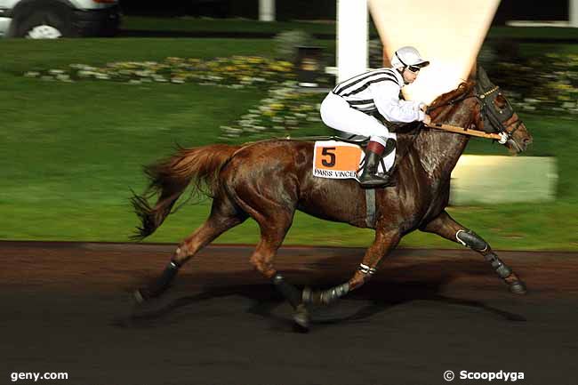 01/11/2011 - Vincennes - Prix Brucia : Ankunft