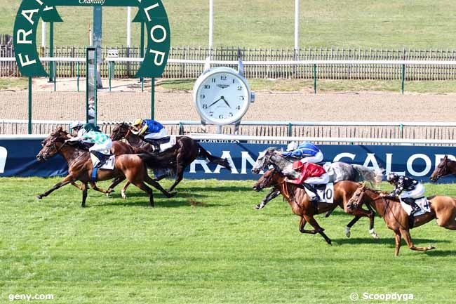 01/09/2018 - Chantilly - Prix du Canal des Morfondus : Ankunft