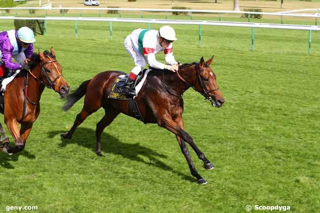 03/10/2019 - Compiègne - Prix de l'Artois : Ankunft