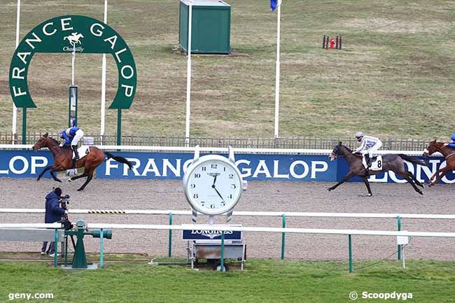 16/02/2021 - Chantilly - Prix du Castel : Arrivée