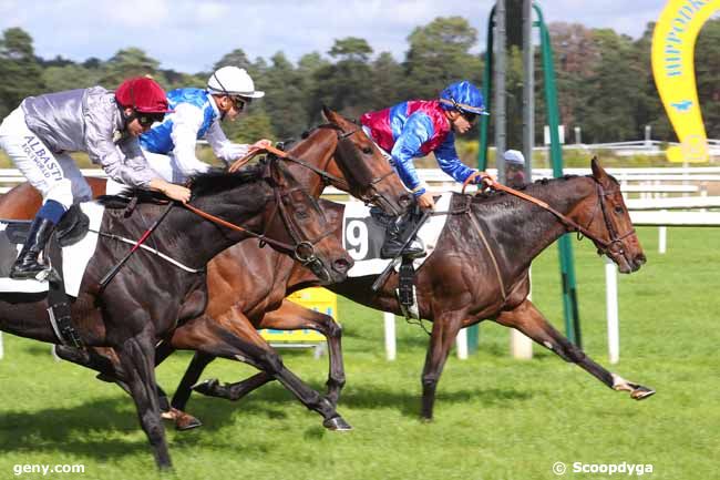 04/10/2021 - Fontainebleau - Prix des Fougères : Ankunft