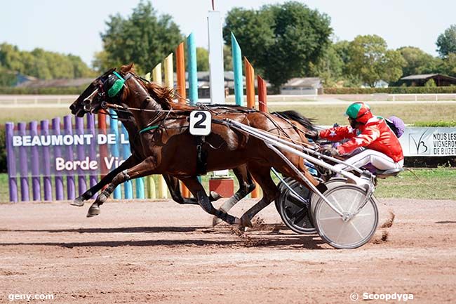 12/09/2022 - Beaumont-de-Lomagne - Prix de la Depêche du Midi : Arrivée