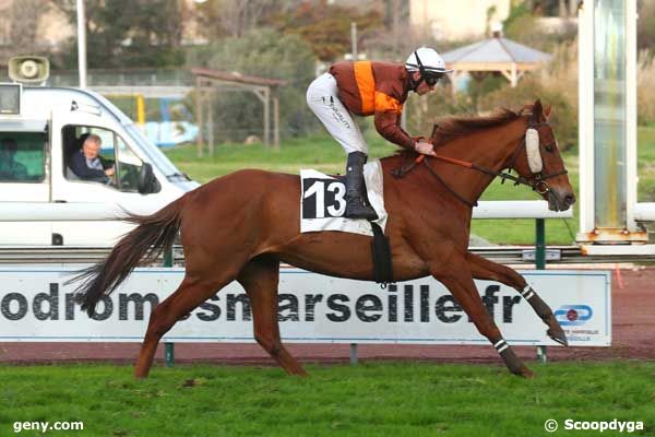 27/02/2024 - Marseille-Borély - Prix des Jujubiers : Arrivée