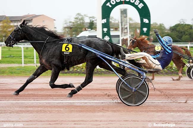 20/11/2024 - Toulouse - Grand National du Trot : Result