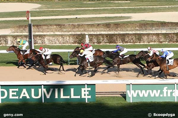 08/01/2009 - Deauville - Prix de Merville : Result