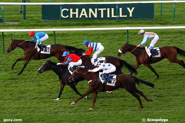 15/10/2009 - Chantilly - Prix de la Chaussée : Ankunft