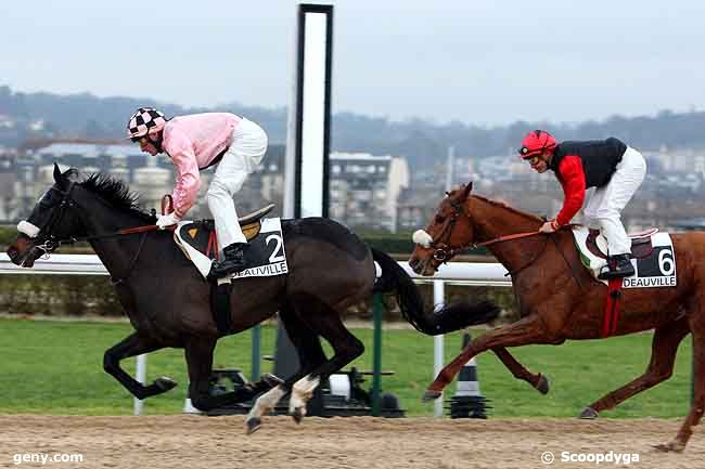 29/12/2009 - Deauville - Prix du Haras du Pin : Arrivée