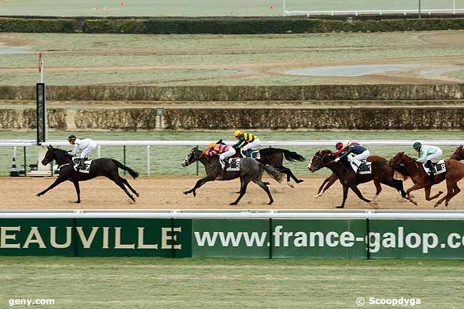 03/01/2011 - Deauville - Prix de la Beauvoisinière : Arrivée