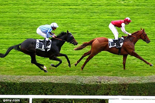 03/11/2011 - Saint-Cloud - Prix Bend'Or : Ankunft