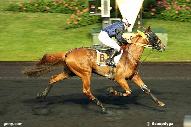 24/05/2013 - Vincennes - Prix Niobe : Ankunft