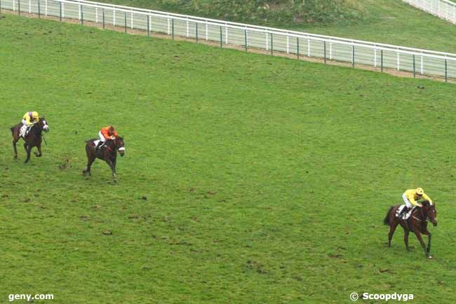 01/12/2014 - Auteuil - Prix Dandolo : Ankunft