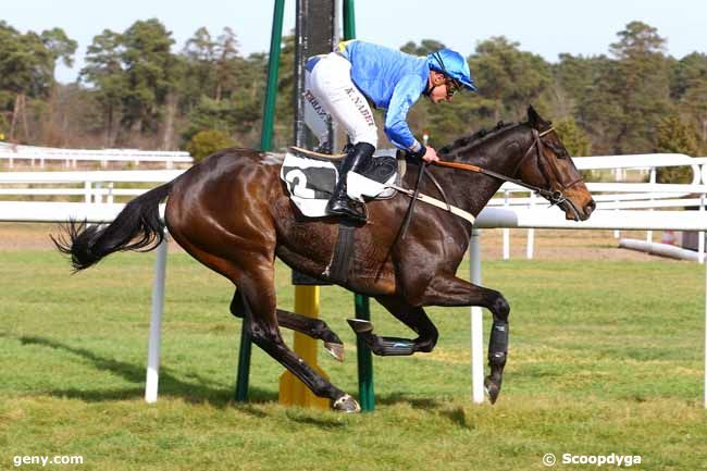 25/02/2017 - Fontainebleau - Prix du Canton de Fontainebleau : Arrivée