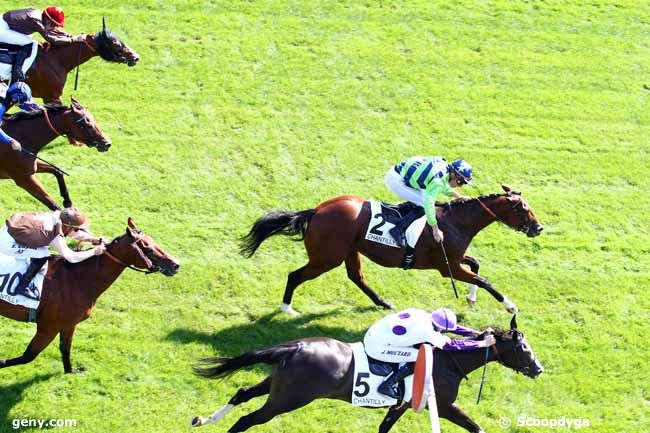 01/09/2018 - Chantilly - Prix de la Route des Postes : Result