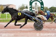 20/11/2024 - Toulouse - Grand National du Trot : Arrivée