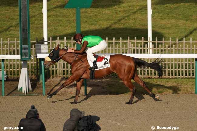 23/12/2019 - Chantilly - Prix du Carrefour des Marchands de Navets : Arrivée