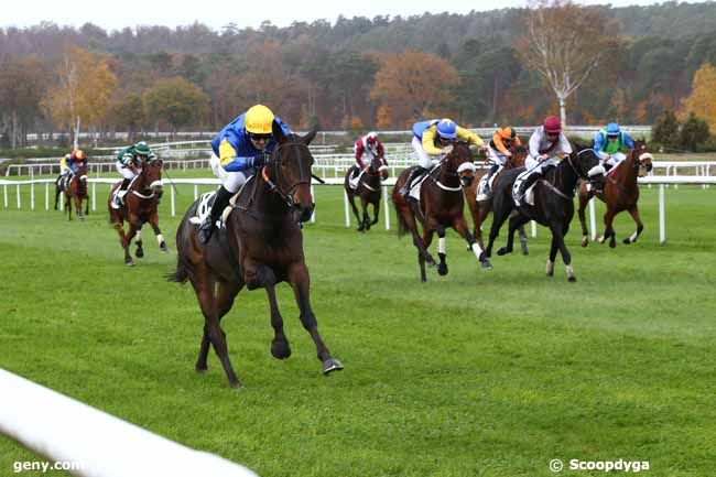 16/11/2020 - Fontainebleau - Prix du Carrefour du Nid de l'Aigle : Result