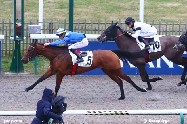 18/02/2022 - Chantilly - Prix de la Faisanderie d'Apremont : Arrivée