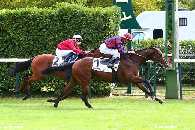 10/09/2022 - Chantilly - Prix de Saint-Firmin : Ankunft