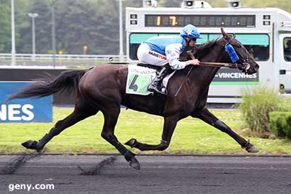 07/05/2024 - Vincennes - Prix Niobé : Arrivée